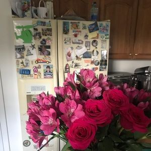 Meet your Posher, Jana